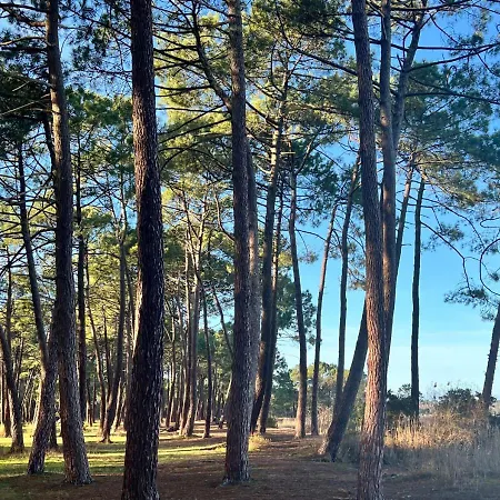 Biscawai Spacieux Et Cosy Апартаменты Бискаррос