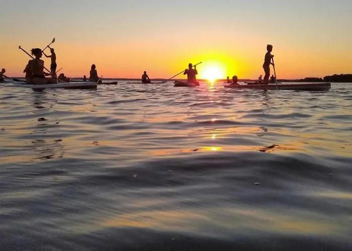 Biscawai Spacieux Et Cosy Appartement Biscarrosse