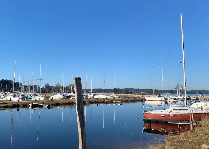 Appartement Biscawai Spacieux Et Cosy Biscarrosse