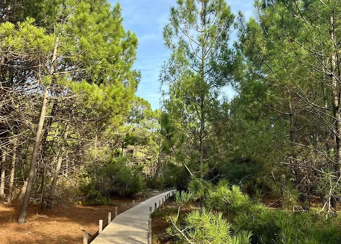 Appartement Biscawai Spacieux Et Cosy